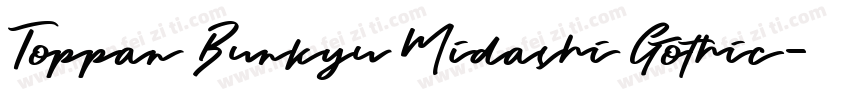 Toppan Bunkyu Midashi Gothic字体转换